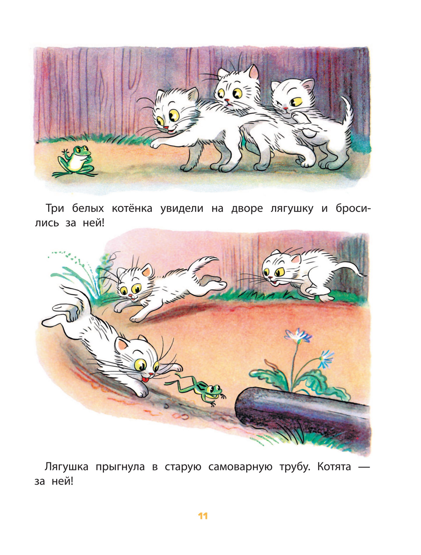 Сказки в картинках