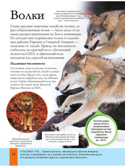Большая энциклопедия почемучки. Мир животных