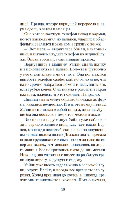Ночной гость