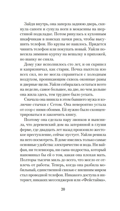 Ночной гость