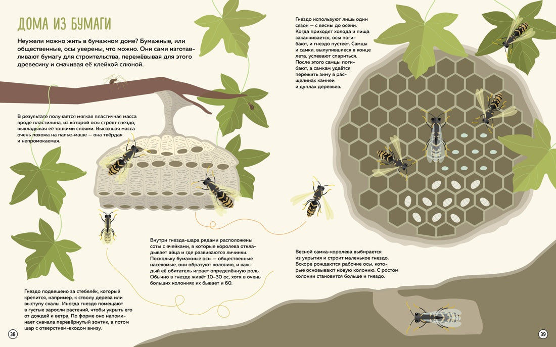 Что внутри? Как устроены дома животных