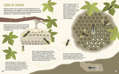Что внутри? Как устроены дома животных