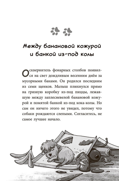 Банда бродяг: лапа лапу моет