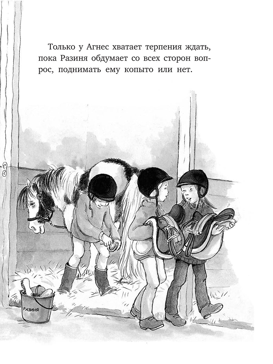 Сигге. Комплект из 4 книг