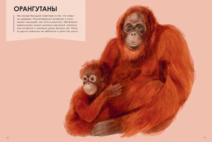 Лучшие родители