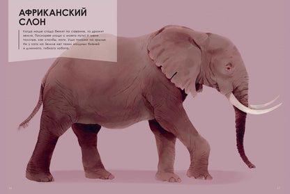 Животные-гиганты