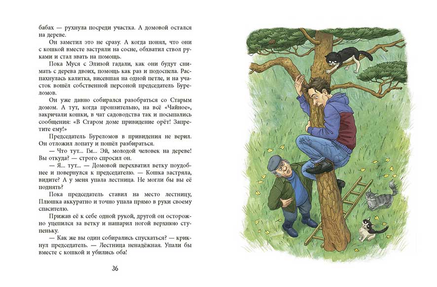 У кошек всегда каникулы