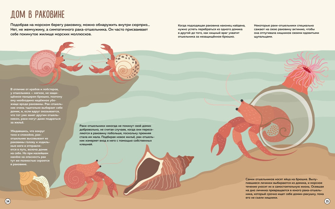 Что внутри? Как устроены дома животных
