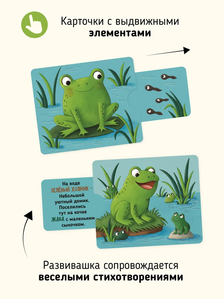 Тяни и смотри. Где чей дом? Интерактивные развивающие карточки