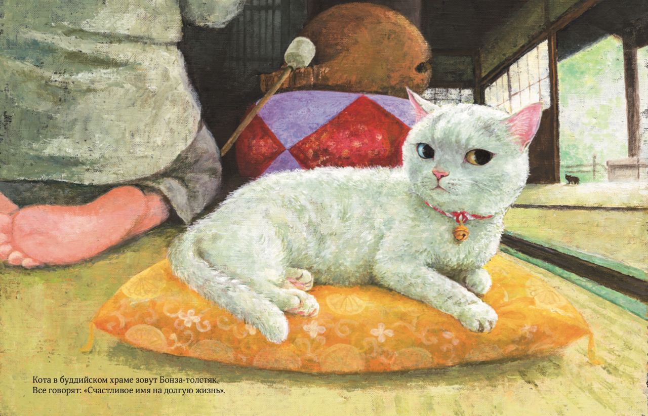Кот без имени
