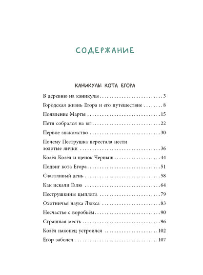 Каникулы кота Егора