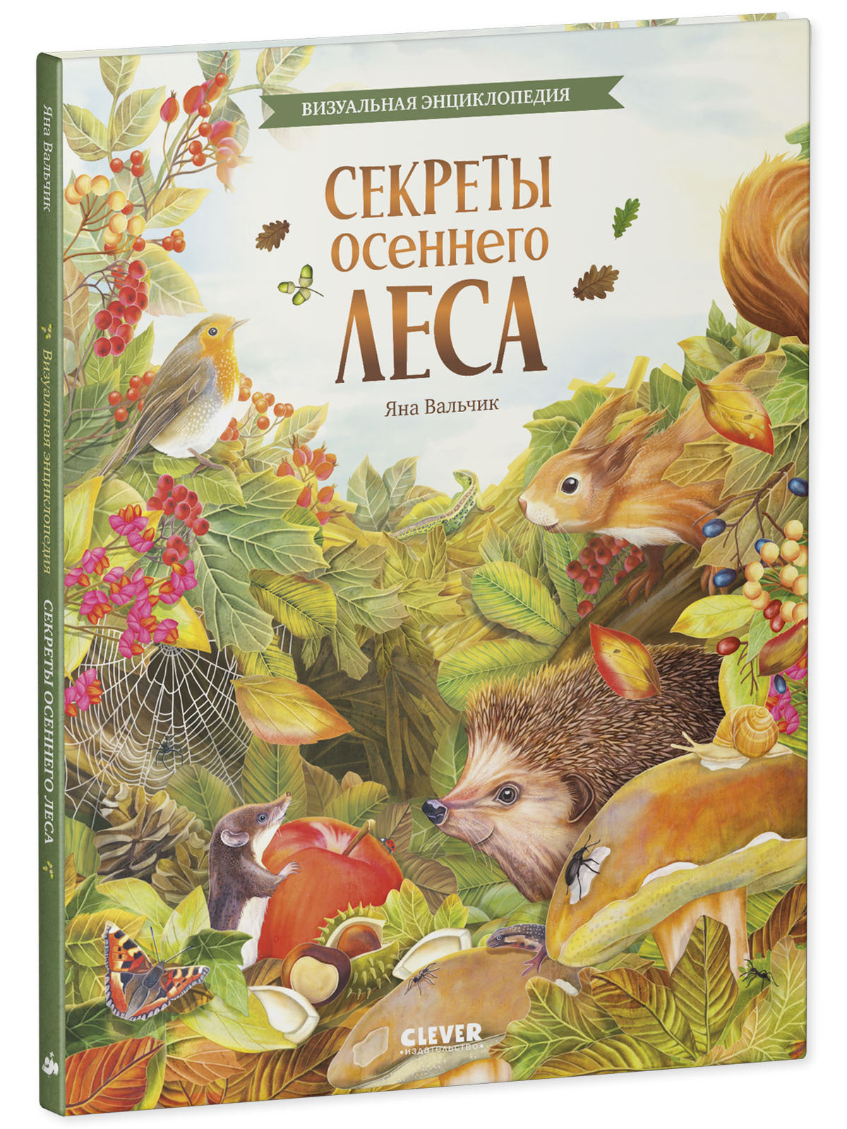 Секреты осеннего леса. Визуальная энциклопедия