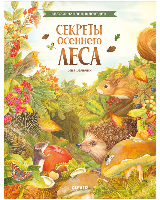 Секреты осеннего леса. Визуальная энциклопедия