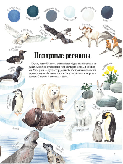 Цвета окружающего мира