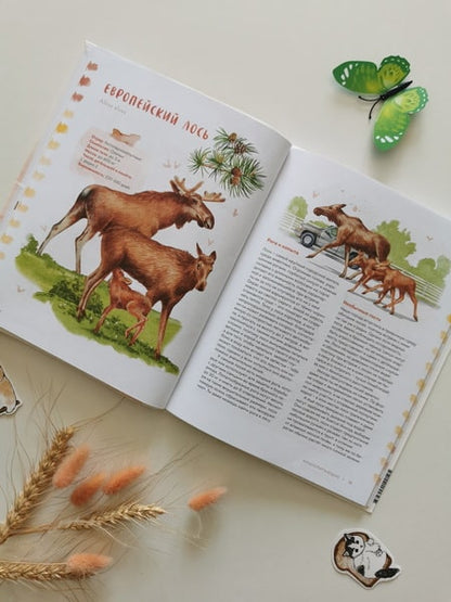 Животные в городе. Где найти и как узнать
