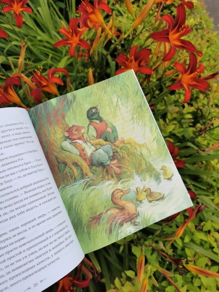 Ветер в ивах