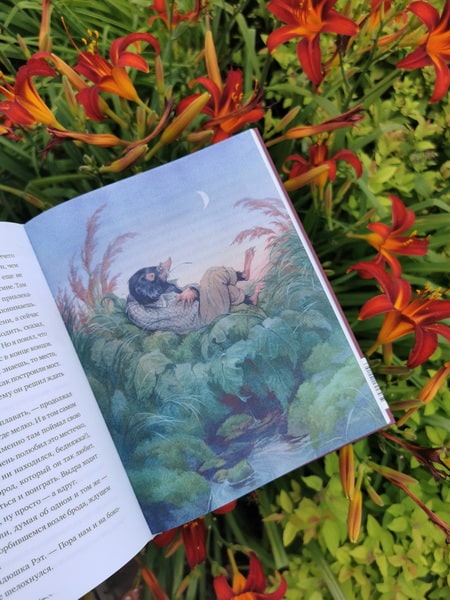 Ветер в ивах