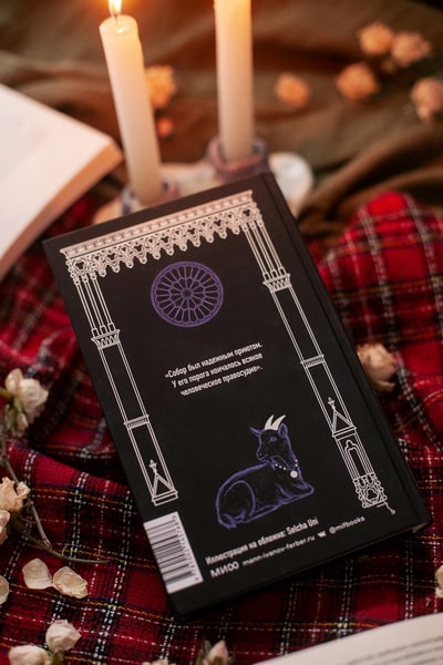 Собор Парижской Богоматери. Вечные истории