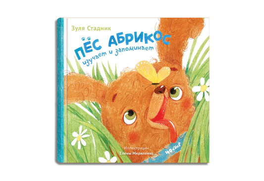 Пес Абрикос изучает и запоминает