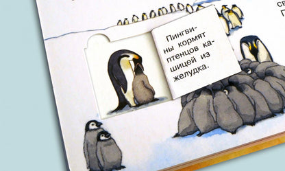 Что? Почему? Зачем? Мой первый атлас мира