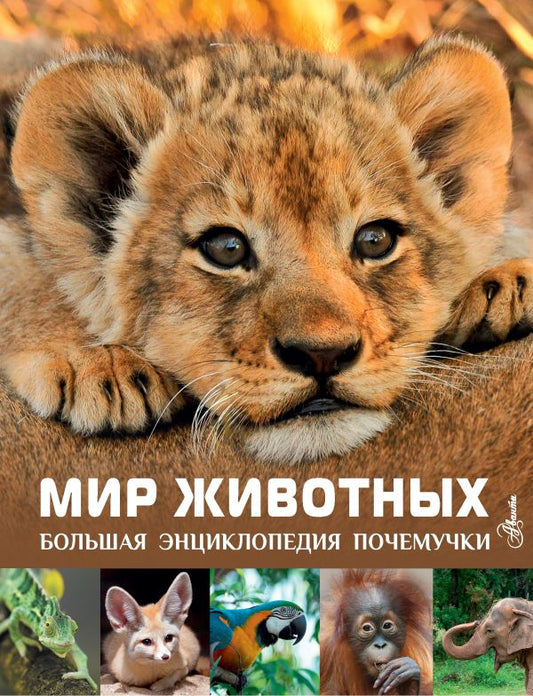 Большая энциклопедия почемучки. Мир животных