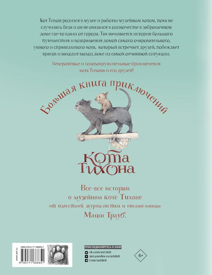 Большая книга приключений кота Тихона