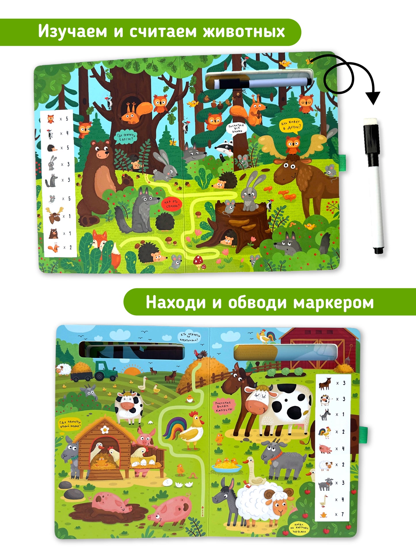 Найди и обведи. Многоразовая книга с маркером