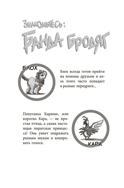 Банда бродяг: лапа лапу моет
