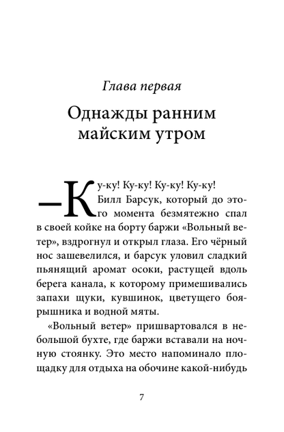 Билл Барсук и пираты
