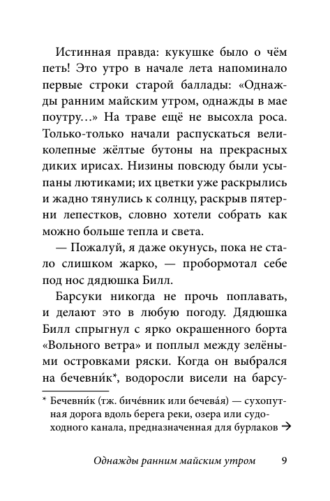 Билл Барсук и пираты