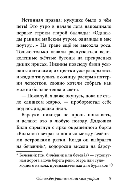 Билл Барсук и пираты