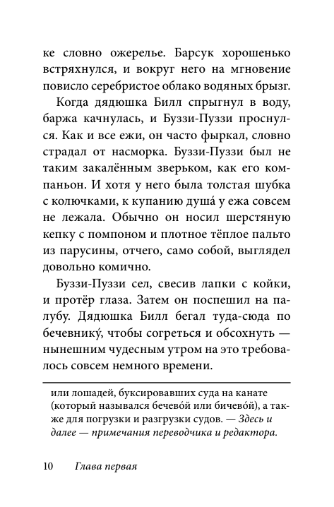Билл Барсук и пираты