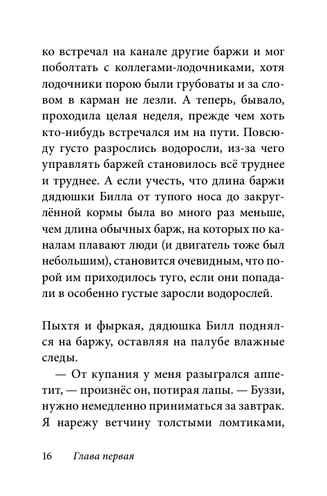 Билл Барсук и пираты