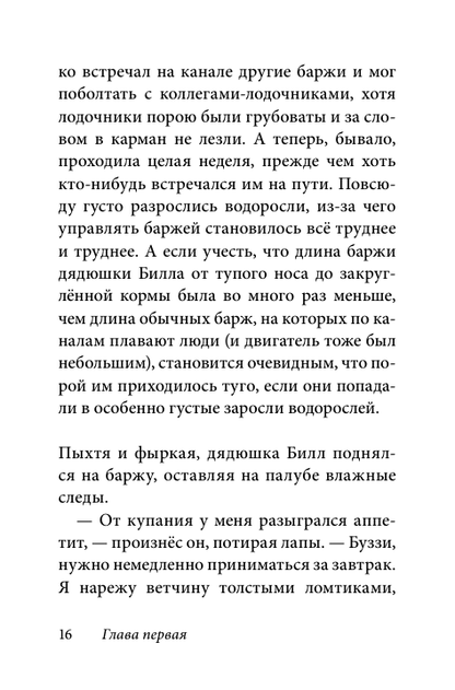 Билл Барсук и пираты
