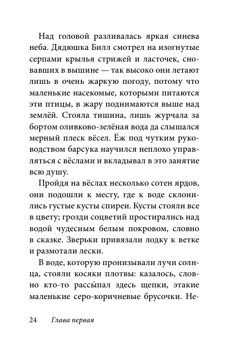 Билл Барсук и пираты