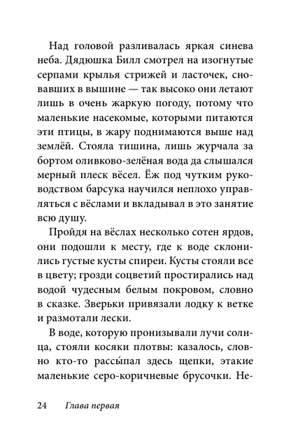 Билл Барсук и пираты