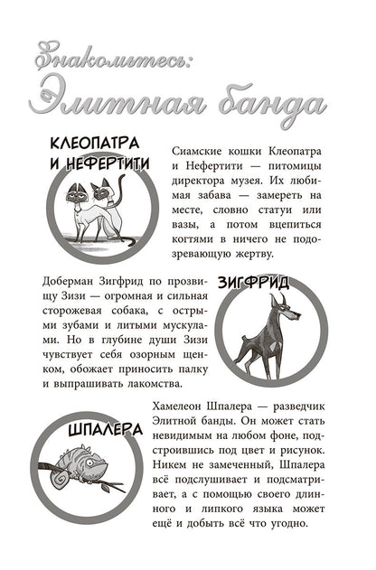 Банда бродяг: лапа лапу моет