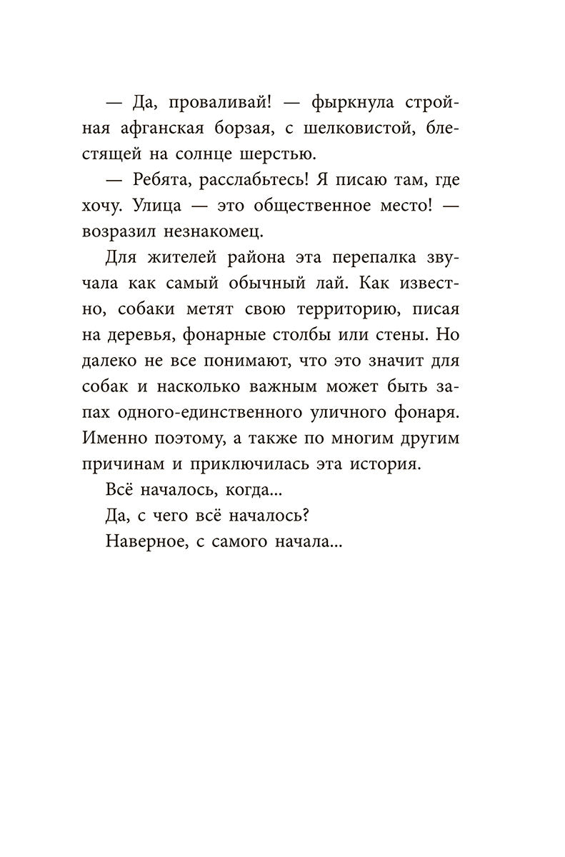 Банда бродяг: лапа лапу моет