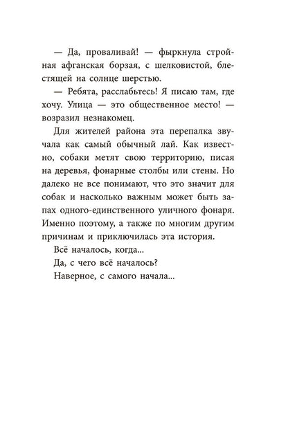 Банда бродяг: лапа лапу моет
