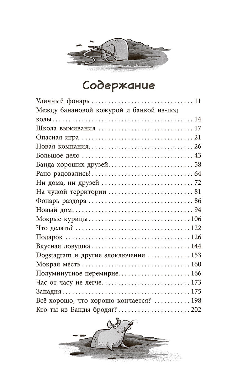Банда бродяг: лапа лапу моет