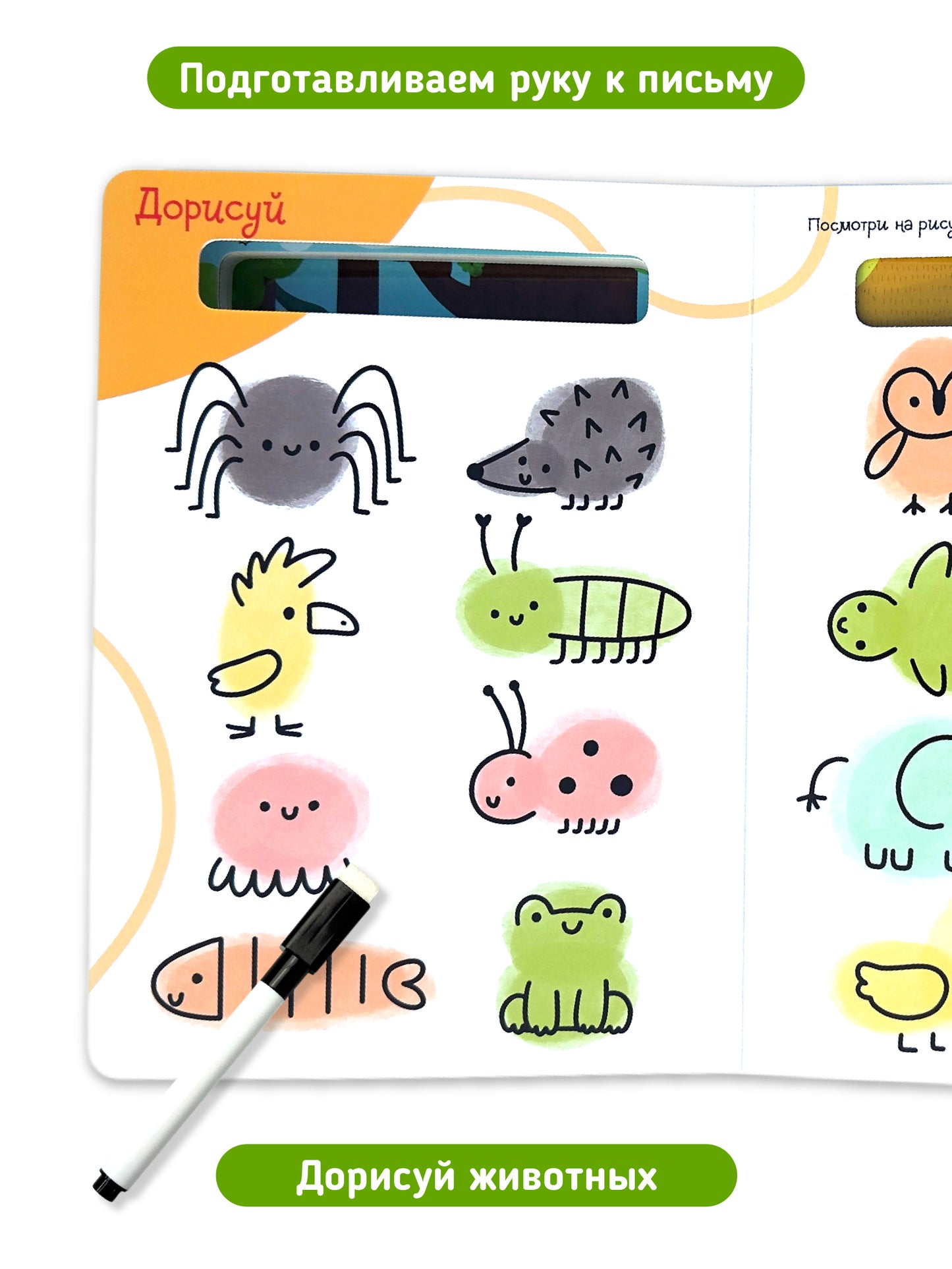 Найди и обведи. Многоразовая книга с маркером