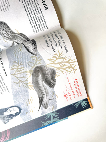 Как дышать под водой?