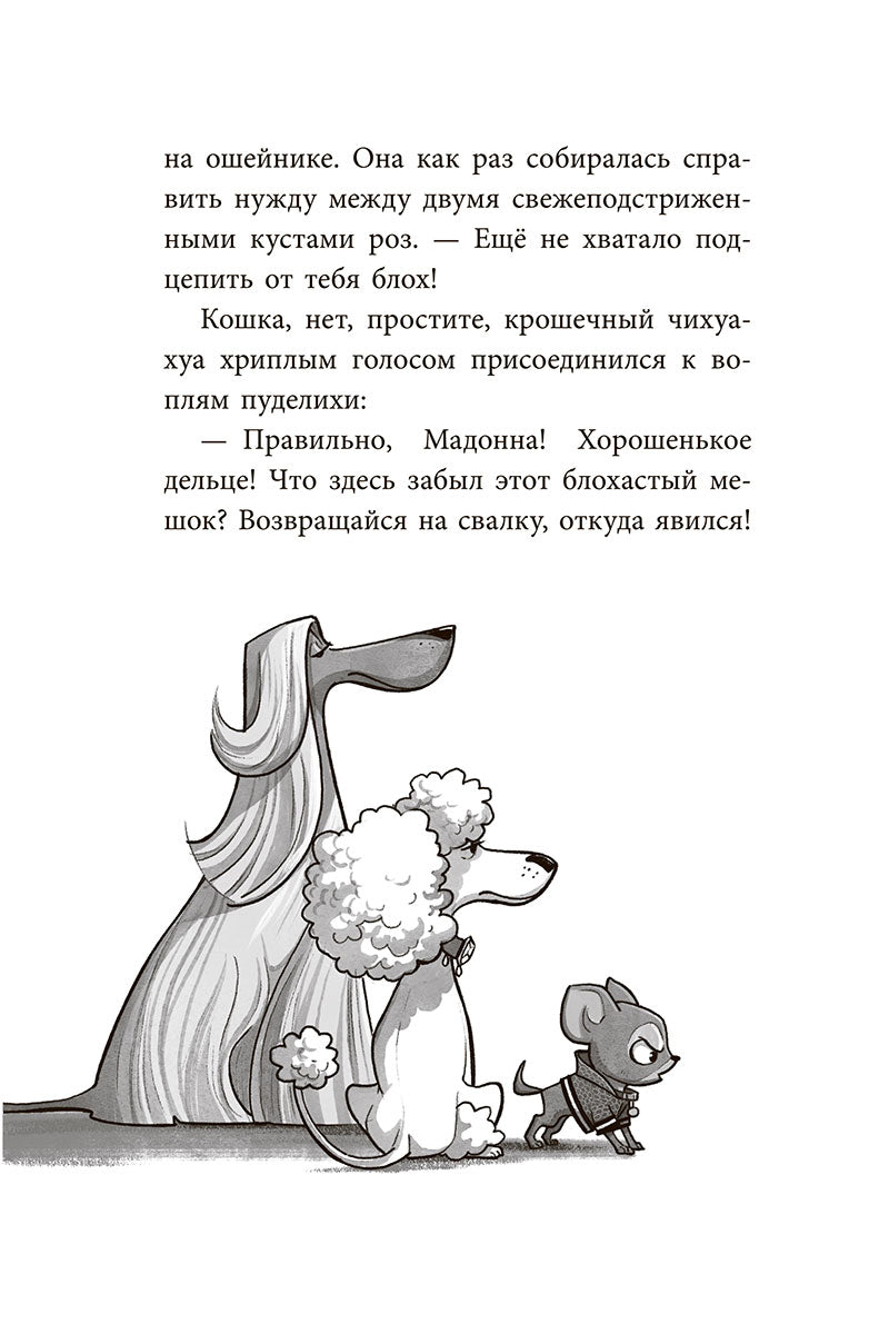 Банда бродяг: лапа лапу моет
