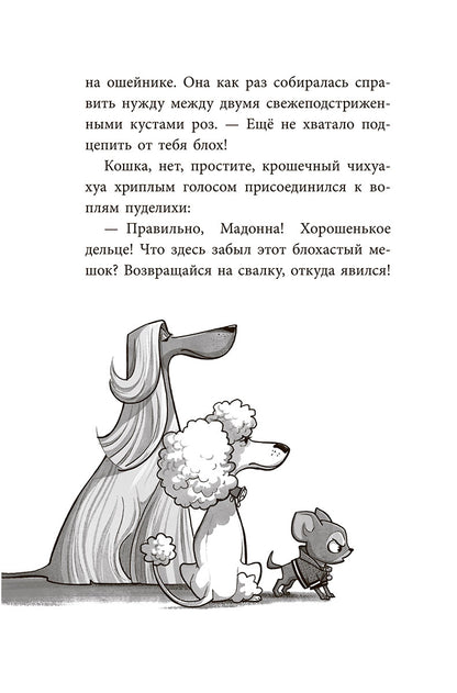 Банда бродяг: лапа лапу моет