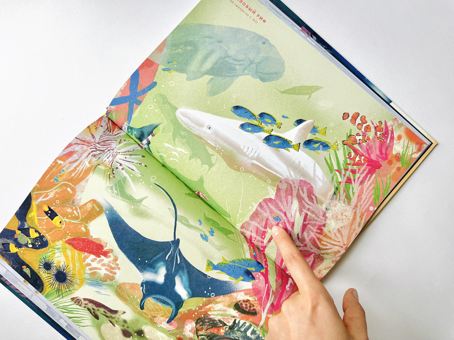 Как дышать под водой?