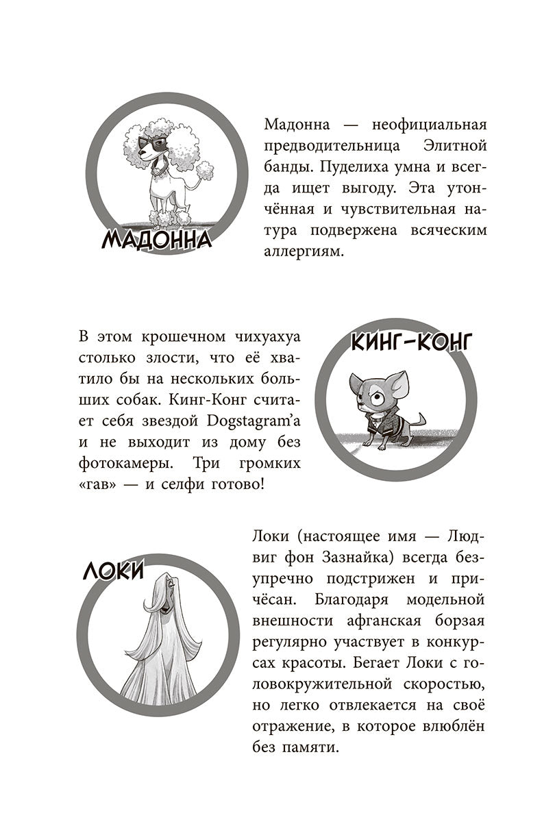 Банда бродяг: лапа лапу моет