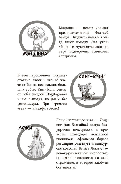 Банда бродяг: лапа лапу моет
